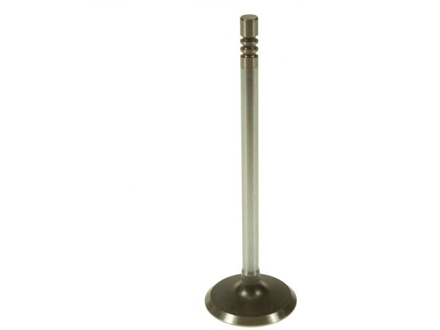 Intake Valve - 2006-2010 Dodge Charger - Melling 18598-02096513