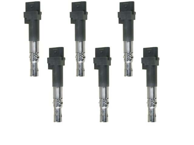 Ignition Coil Set 6 Piece - 2009-2016 Volkswagen CC 3.6L V6 - TRQ 30304-02802891