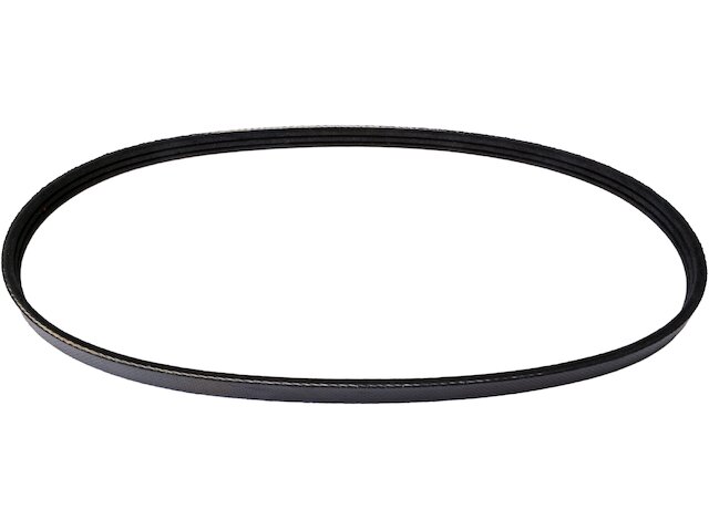 Alternator Multi Rib Belt - 1988-1992 Jaguar Vanden Plas - ContiTech 555-02932803