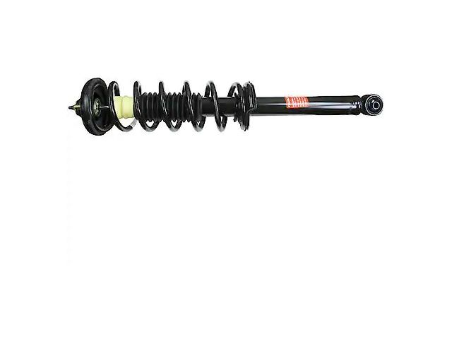 Rear Strut and Coil Spring Assembly - 2004-2008 Acura TSX - Monroe 17778-05778272