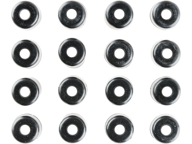 Valve Stem Seal Kit - 1977-1987 Ford F150 - Victor Reinz 5284-06029884