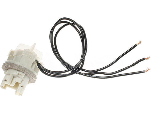 Rear Bulb Socket - 1988-1996 Ford F250 - Standard Motor Products 5328-05618084