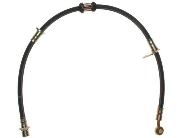 Front Left Brake Hose - 1988-1989 Honda Accord - Raybestos 5971-05744684