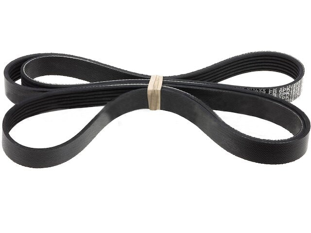 Air Conditioning Multi Rib Belt - 1996-1997, 2002-2004, 2006 Audi A6 - INA 7406-06187530