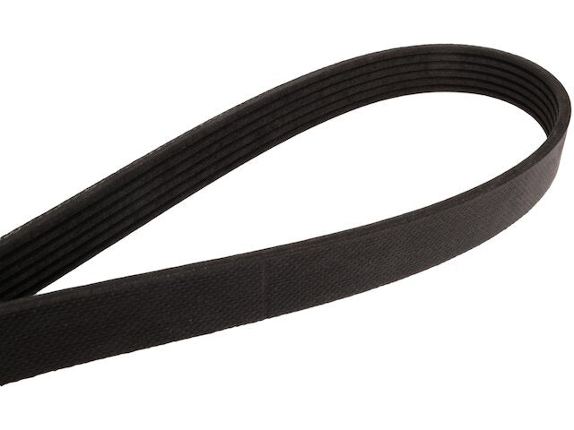 Accessory Drive Multi Rib Belt - 2019-2023 Toyota Corolla 2.0L 4-Cylinder - ContiTech 146847-02333238