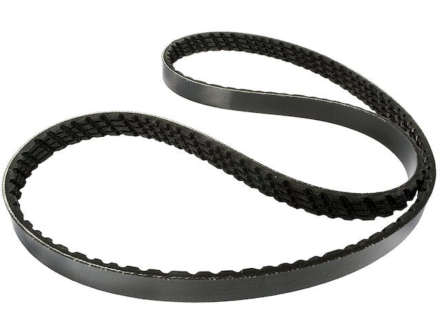 Power Steering Multi Rib Belt - 1990-2002 Honda Accord - ContiTech 5973-02444120