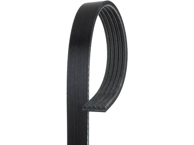 Multi Rib Belt - 2014-2019 Chevrolet Impala - Gates 125090-02944109