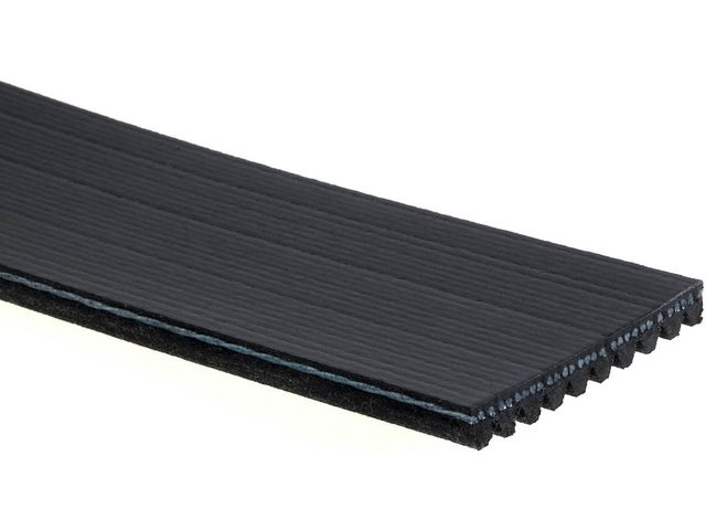 Fan Multi Rib Belt - 2004-2008 Freightliner FLD120 - Gates 138019-03561541