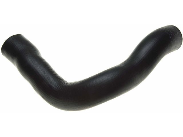Lower Radiator Hose - 1980-1983 Ford F100 - Gates 5280-07276129