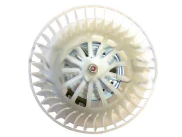 Front Blower Motor - 2001-2006 BMW 330Ci - TYC 1013-07499033