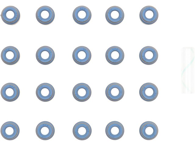 Valve Stem Seal Kit - 2000-2006 Audi TT Quattro - Victor Reinz 7463-07562478