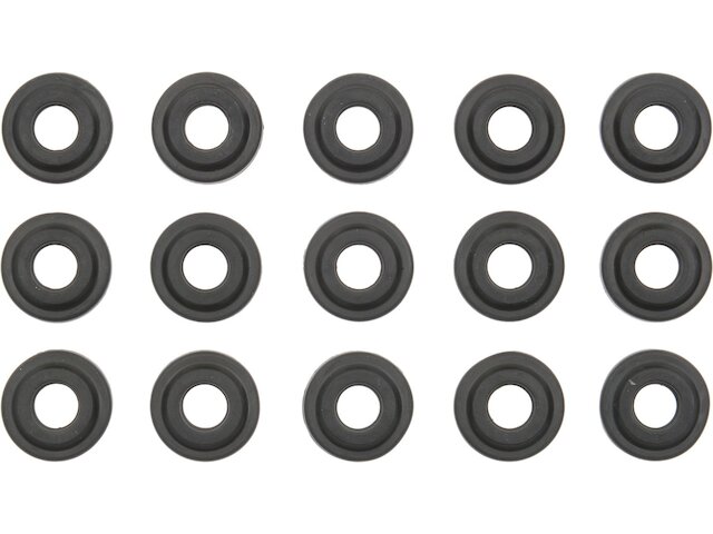 Valve Cover Grommet Set - 2001-2005 BMW 325xi - Victor Reinz 1000-07760001