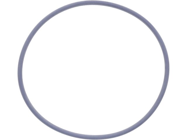 Water Pump Gasket - 1997-2002 Ford E350 Econoline Club Wagon - Victor Reinz 5200-07986431