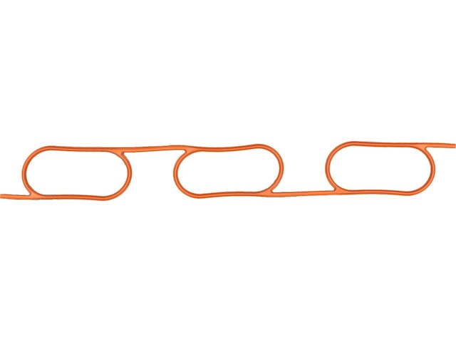 Intake Manifold Gasket Set - 1996-1998 BMW 328is - Victor Reinz 1009-06161658