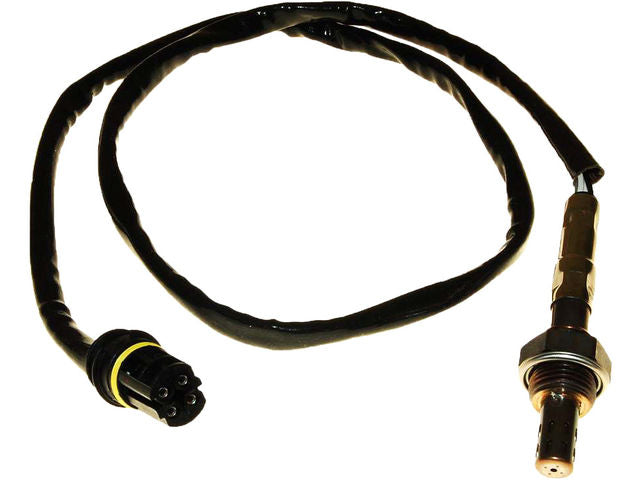 Downstream Oxygen Sensor - 2001-2006 BMW M3 3.2L 6-Cylinder - Walker 1172-05368806
