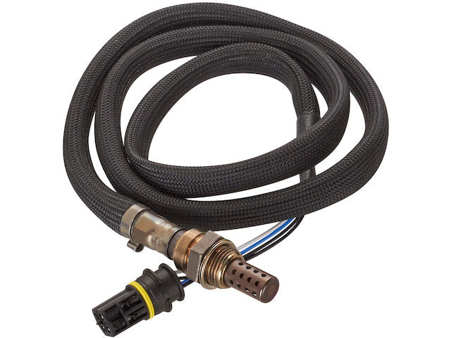 Downstream Oxygen Sensor - 2001-2006 BMW M3 3.2L 6-Cylinder - Spectra Premium 1172-05646013