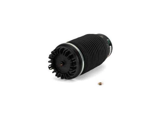 Rear Air Spring - 2013-2018 Ram 1500 - Arnott 119830-05846661