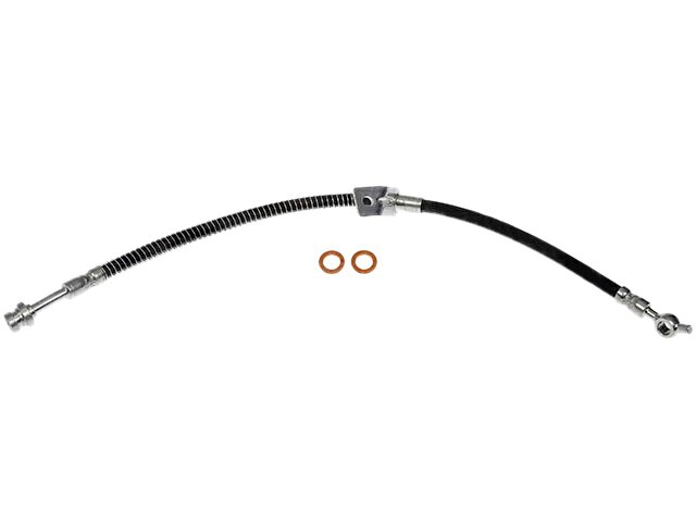 Front Left Brake Hose - 2017-2020 Hyundai Elantra 2.0L 4-Cylinder - Dorman 138426-06178423