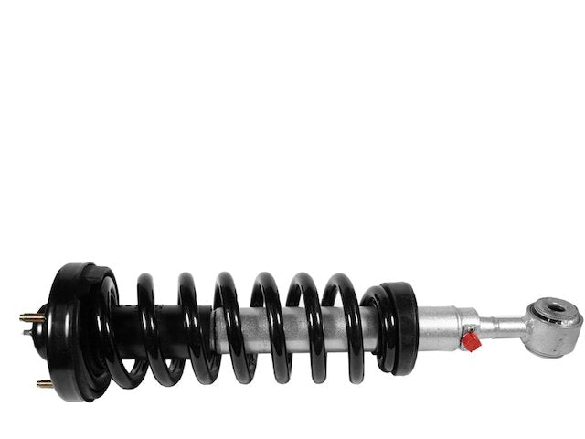 Front Strut Assembly - 2004-2008 Ford F150 - Rancho 17874-05325724