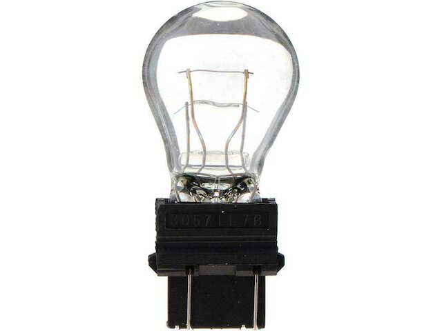 Rear Turn Signal Light Bulb - 2005-2010 Dodge Dakota - Philips 18193-05438571