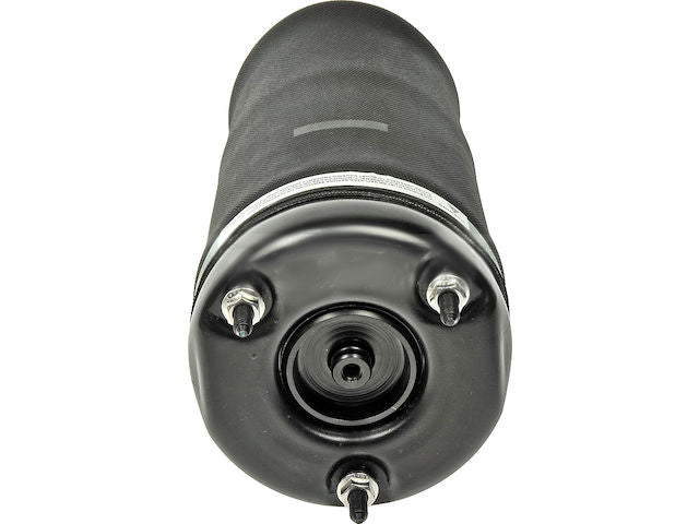 Air Spring - 2006-2007 Mercedes R500 - Dorman 18700-05756847