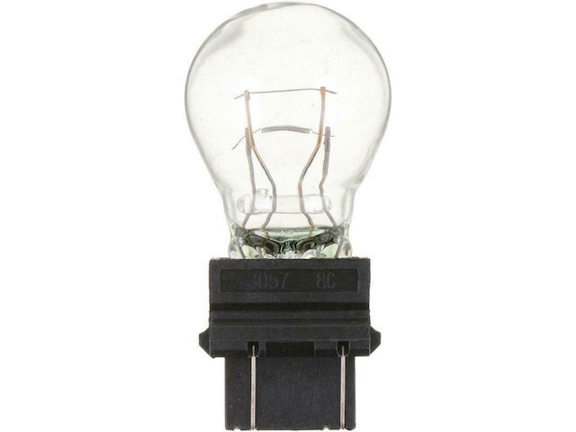 Rear Turn Signal Light Bulb - 1997-2005 Buick Century - Philips 2570-05389532