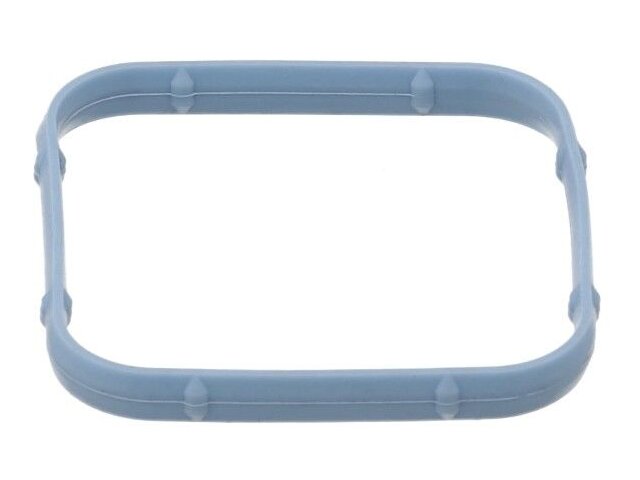 Intake Manifold Gasket - 2009-2010, 2012-2014 Chrysler 300 - Elring 30133-06069637