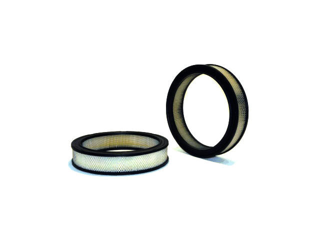 Air Filter - 1978-1980 Pontiac Grand Am - WIX 4681-05436768