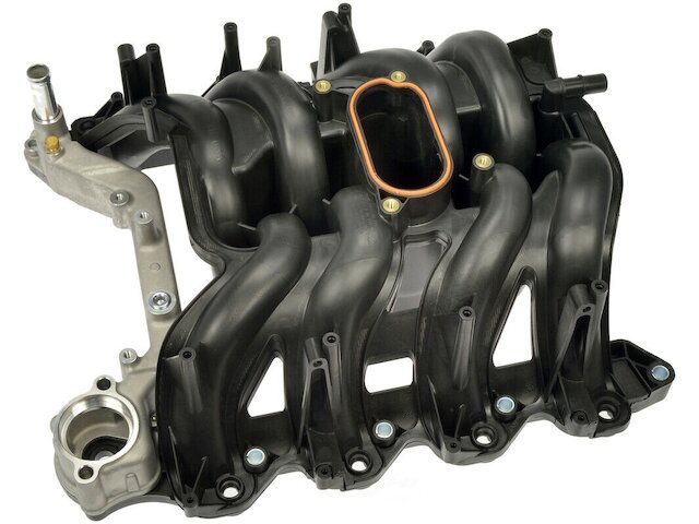 Upper Intake Manifold - 2000-2003 Ford F-150 5.4L V8 - APA/URO Parts 5293-05806822