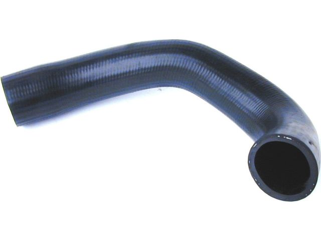Lower Radiator Hose - 1982-1987 Jaguar Vanden Plas - APA/URO Parts 549-05693868