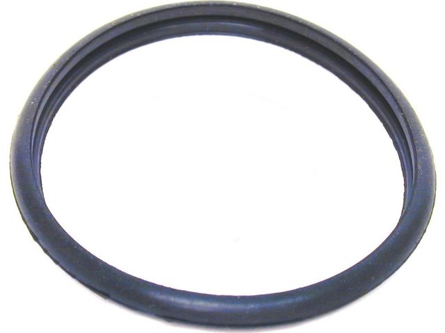 Thermostat O-Ring - 1998-2003 Jaguar Vanden Plas - APA/URO Parts 565-05481731