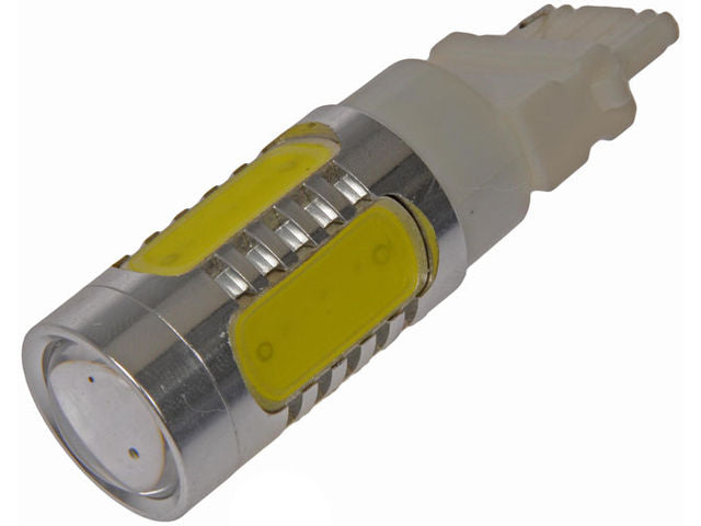 Back Up Light Bulb - 2002 Lincoln Navigator - Dorman 5659-05536223