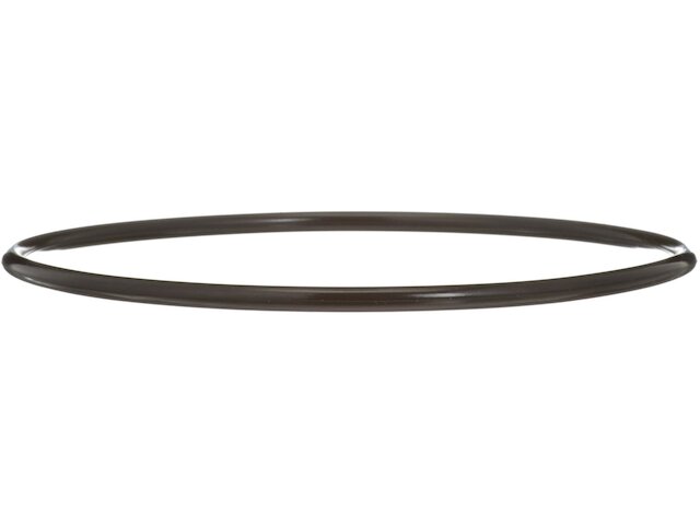 Fuel Pump Tank Seal - 1990-1996 Nissan 300ZX 3.0L V6 - Delphi 6649-06185983