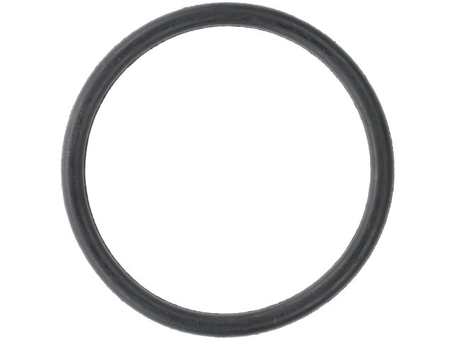 Thermostat O-Ring - 2000-2006 Audi TT Quattro - Motorad 7463-05766992