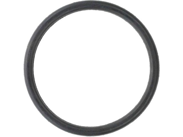 Thermostat O-Ring - 2000-2006 Audi TT Quattro - Motorad 7463-05791467