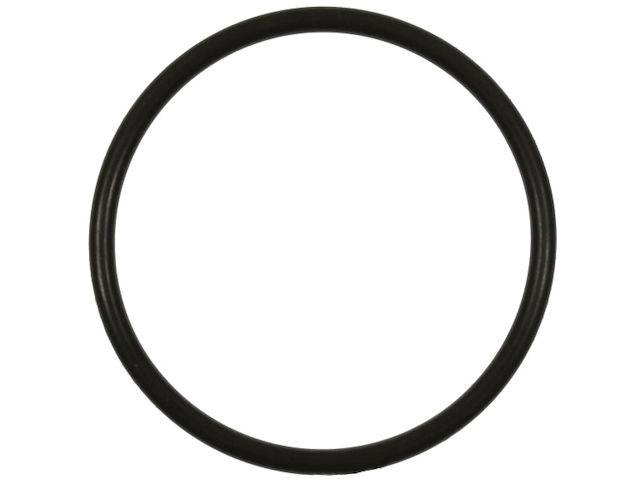 Fuel Pump O-Ring - 2011-2015 Kia Sportage - Standard Motor Products 96789-05781569